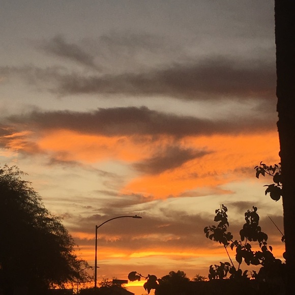 Meet your Posher, Sofia - Picture 1 of 1